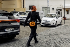 DSCF5927