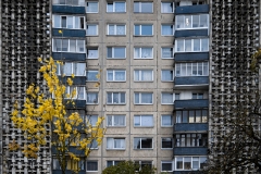 DSCF6124