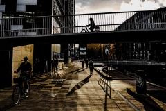 L10095520