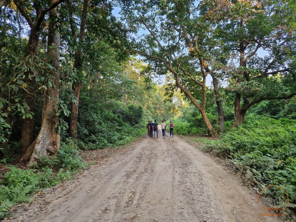 NepalSW