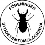Logo FSOE orig 300pix