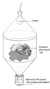 Tullgrens extraktor