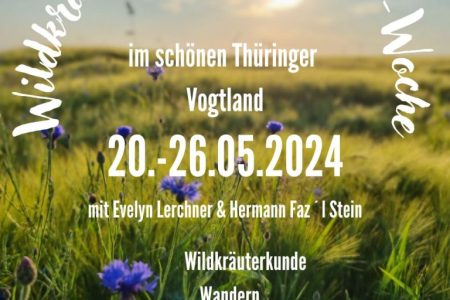 Wildkräuter-Wanderfasten-Woche