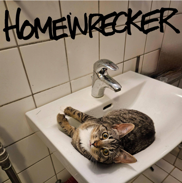 Premiere: Molly – Homewrecker