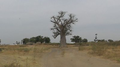 Senegal Landschaft