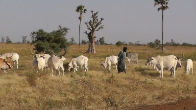 Senegal Landschaft