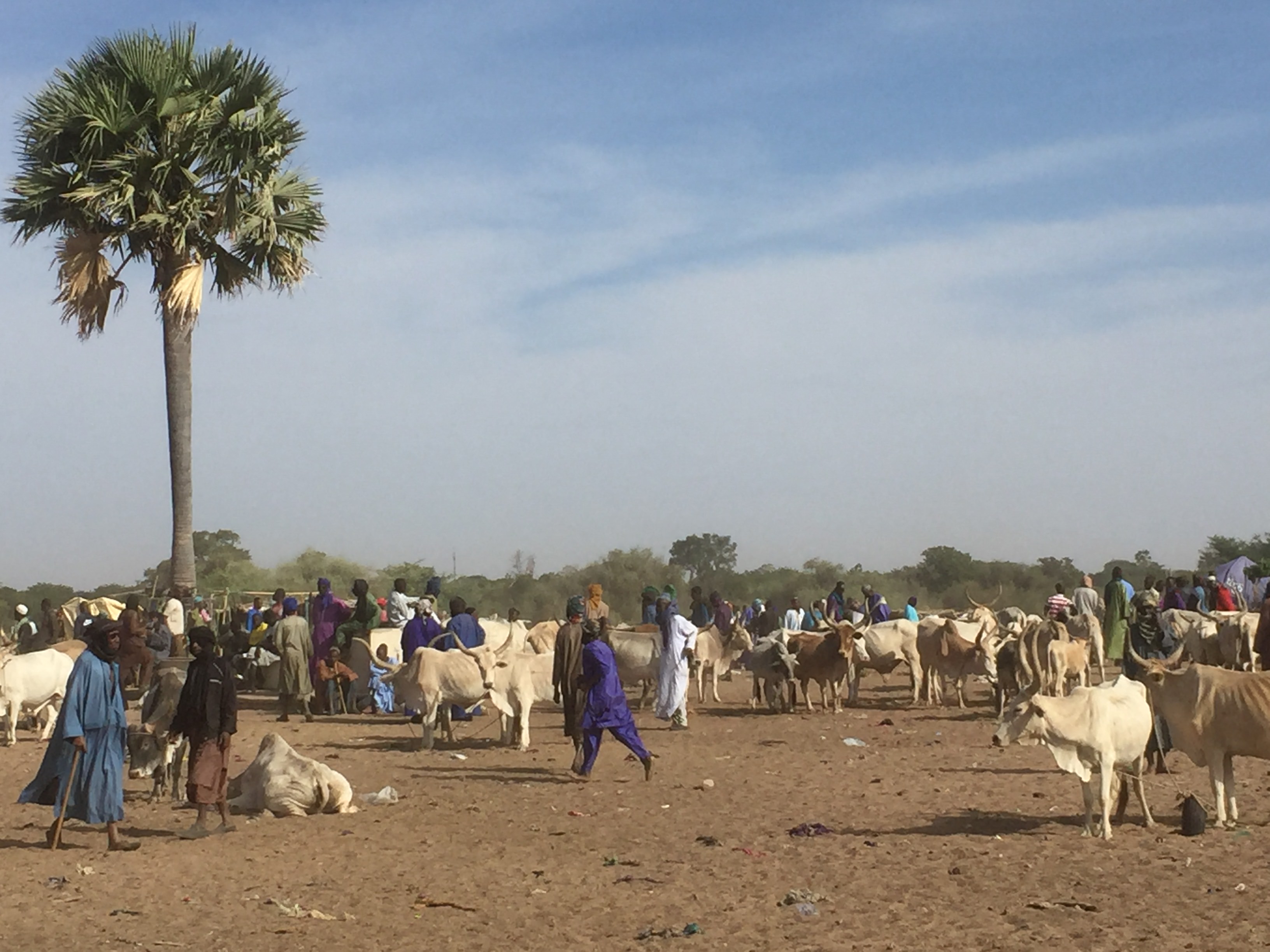 www.senegalkrankenhaus.de_reisebericht_senegal_werner_oertel (3)