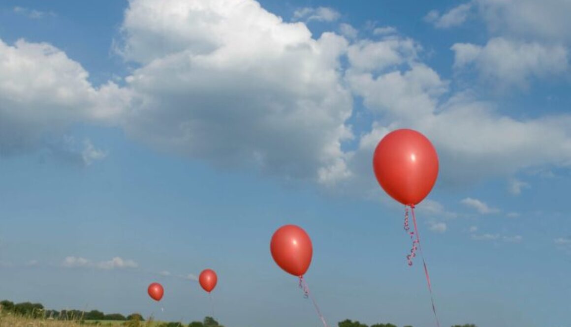 red-balloons-in-field-2023-11-27-05-26-51-utc m