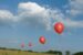 red-balloons-in-field-2023-11-27-05-26-51-utc m