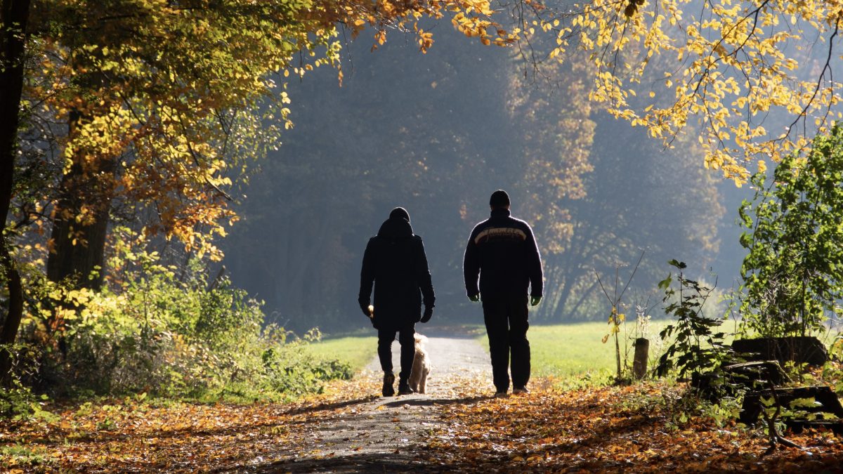 Zenwandeling Senior Schiebroek