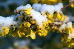 18  Og så kom der sne. Foto: Lise Peltola