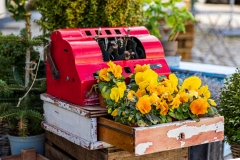 Køb blomster, køb blomster ... Foto: lise Peltola