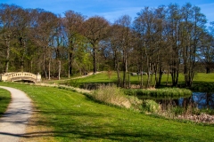 Parken. Fototur ved Aldershvile Slotspark. Foto: Lise Peltola