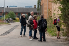 Nøj! De har mange postkasser der!