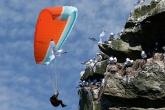 En paraglider