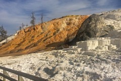 IMG_3683_b-Mammoth-Hot-Spring-Calcium-carbonate-deposition