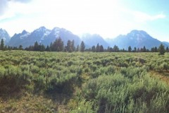 IMG_3824_b-Teton-Park-Rd-Grand-Tetons