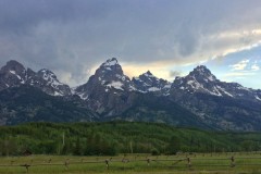 IMG_3853_b2-Grand-Tetons