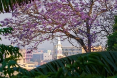 Antananarivo, hovedstaden. Madagascar. Foto: Lise Peltola