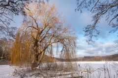 Karen Bjerggaard
