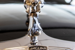 Kølerfigur: Jaguar. Foto: Lise Peltola