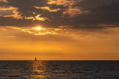 Foto: Karen Bjerggaard