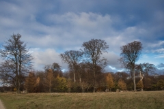 Foto: Marcel Dupont