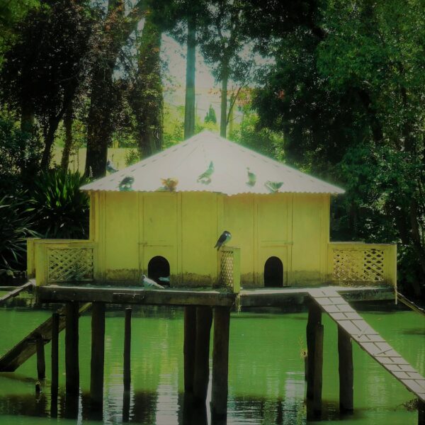 Base PiraMiDAL