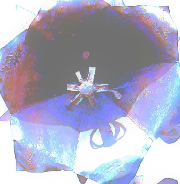 ReFLeXus