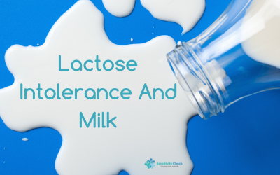 Lactose Intolerance And Milk: Unveiling The Connection