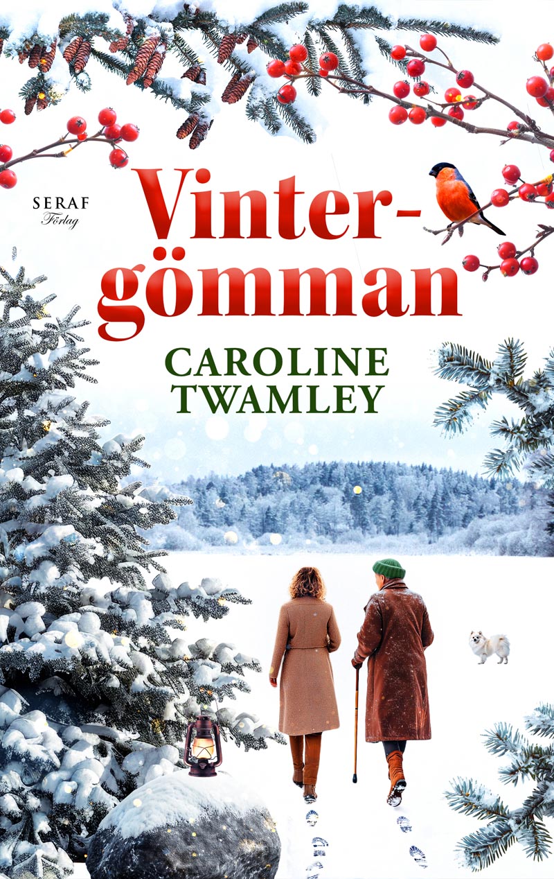 Vintergömman av Caroline Twamley