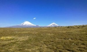 Ararat-1