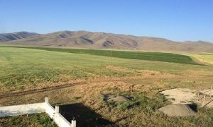 Ciyayê20Qertewin