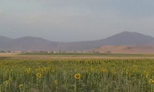 Girê-Shemê-3