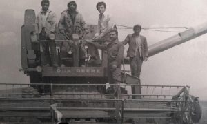 Wene-3-Kopie