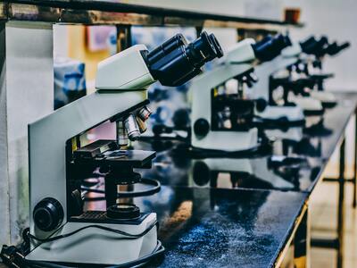 A row of stethoscopes for research