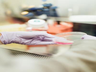 Petri dish with fluid for research purposes