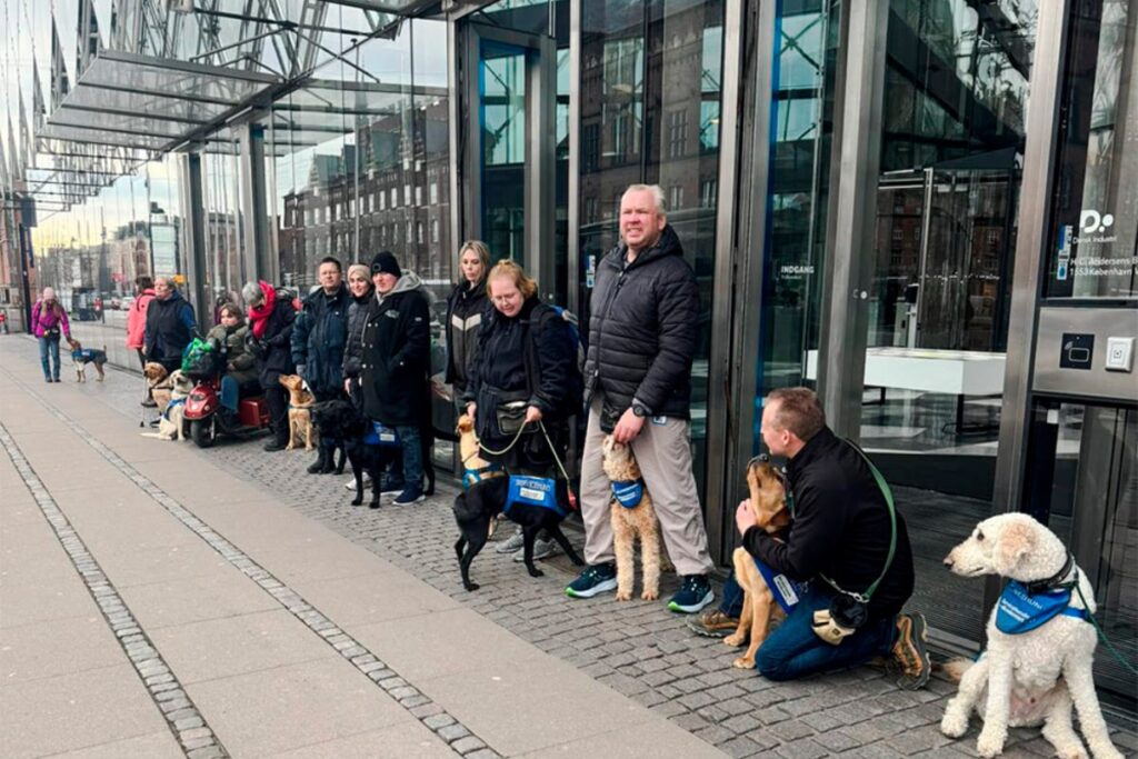 Servicehunde på række til fællestræning i hovedstaden
