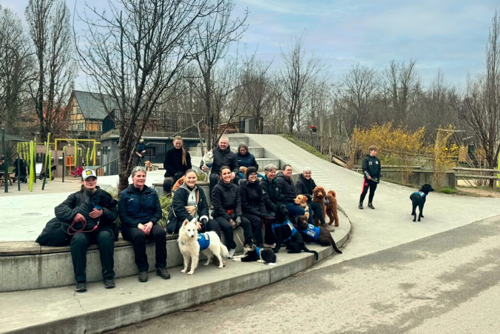 Servicehunde til fællestræning i Zoo