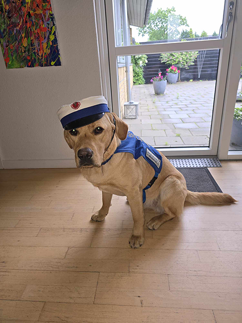 servicehund med studenterhue