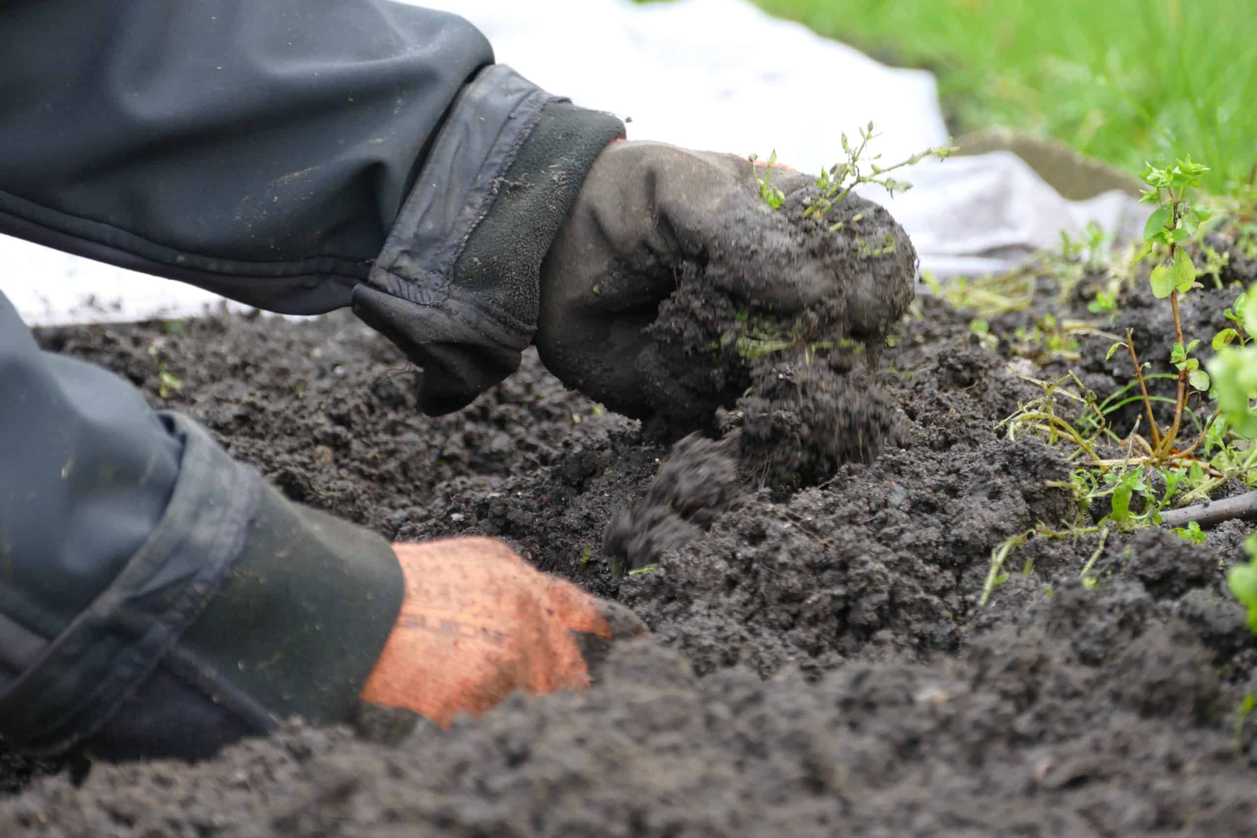 Landboforening i generationer