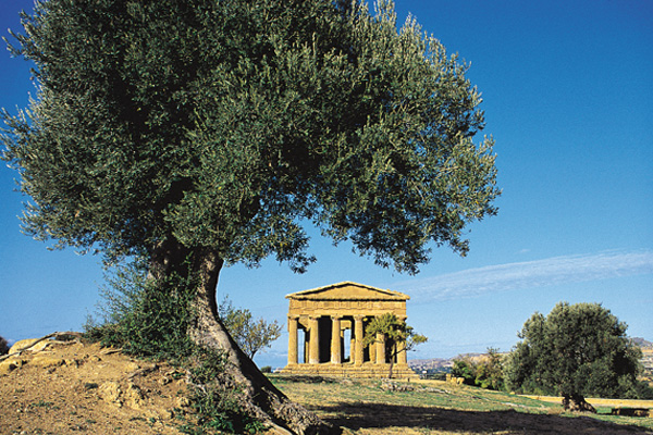 Concord Templet i Agrigento