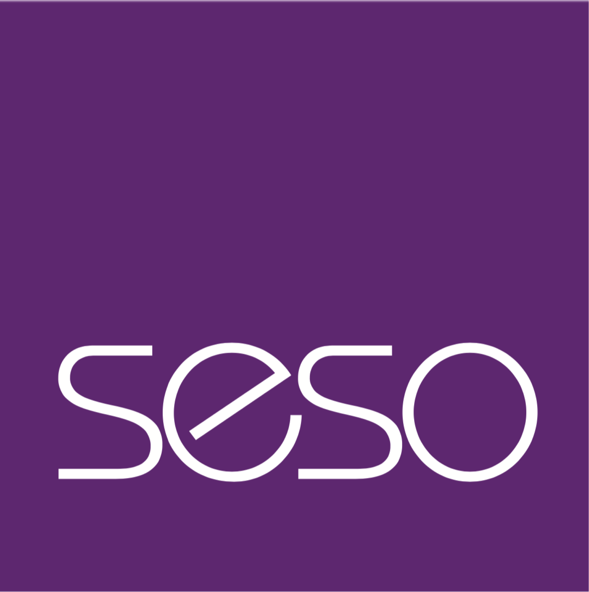 Seso Din Kreative Partner