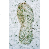 25-2-16-footprint-in-snow