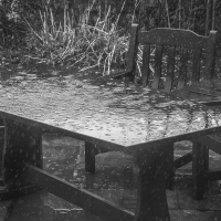 29-1-16-rain on table