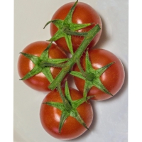 1-2-16-tomatoes