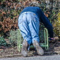 13-3-16-spring-gardening