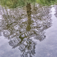 19-12-16-dunham-massey-reflection