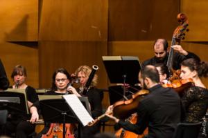 Dutch Guitar Foundation Orchestra