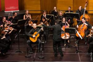 Dutch Guitar Foundation Orchestra